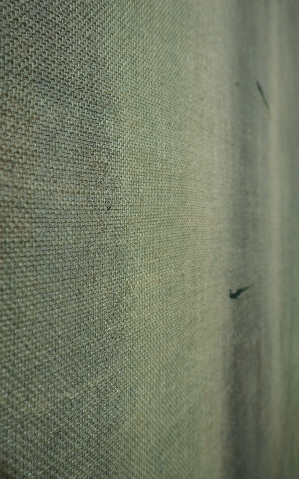 Andrea Solaja / Petrichor 10 - Image 4