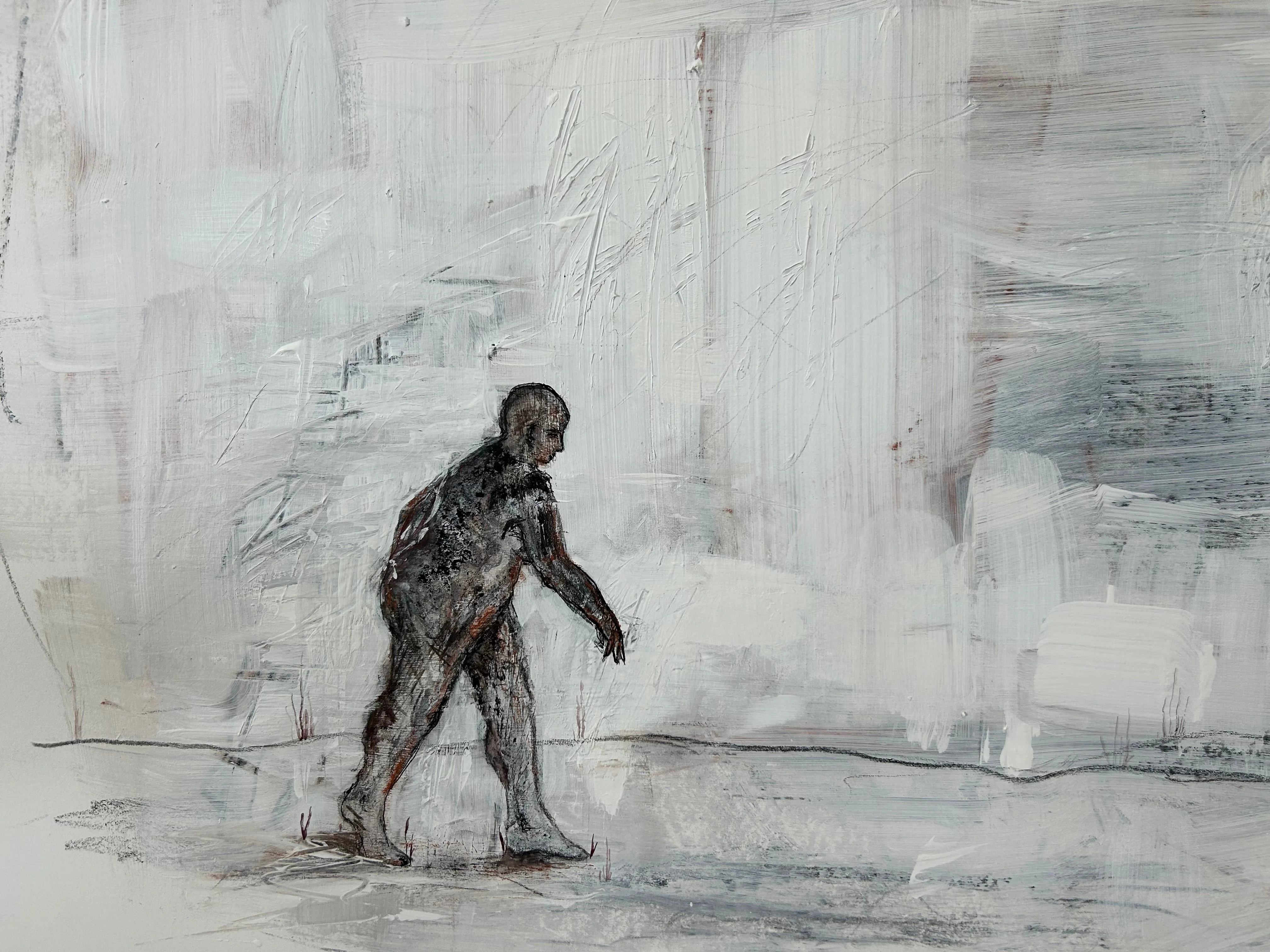 Anji Woodley / A Walk To The Grandfather Tree 01 - Image 9