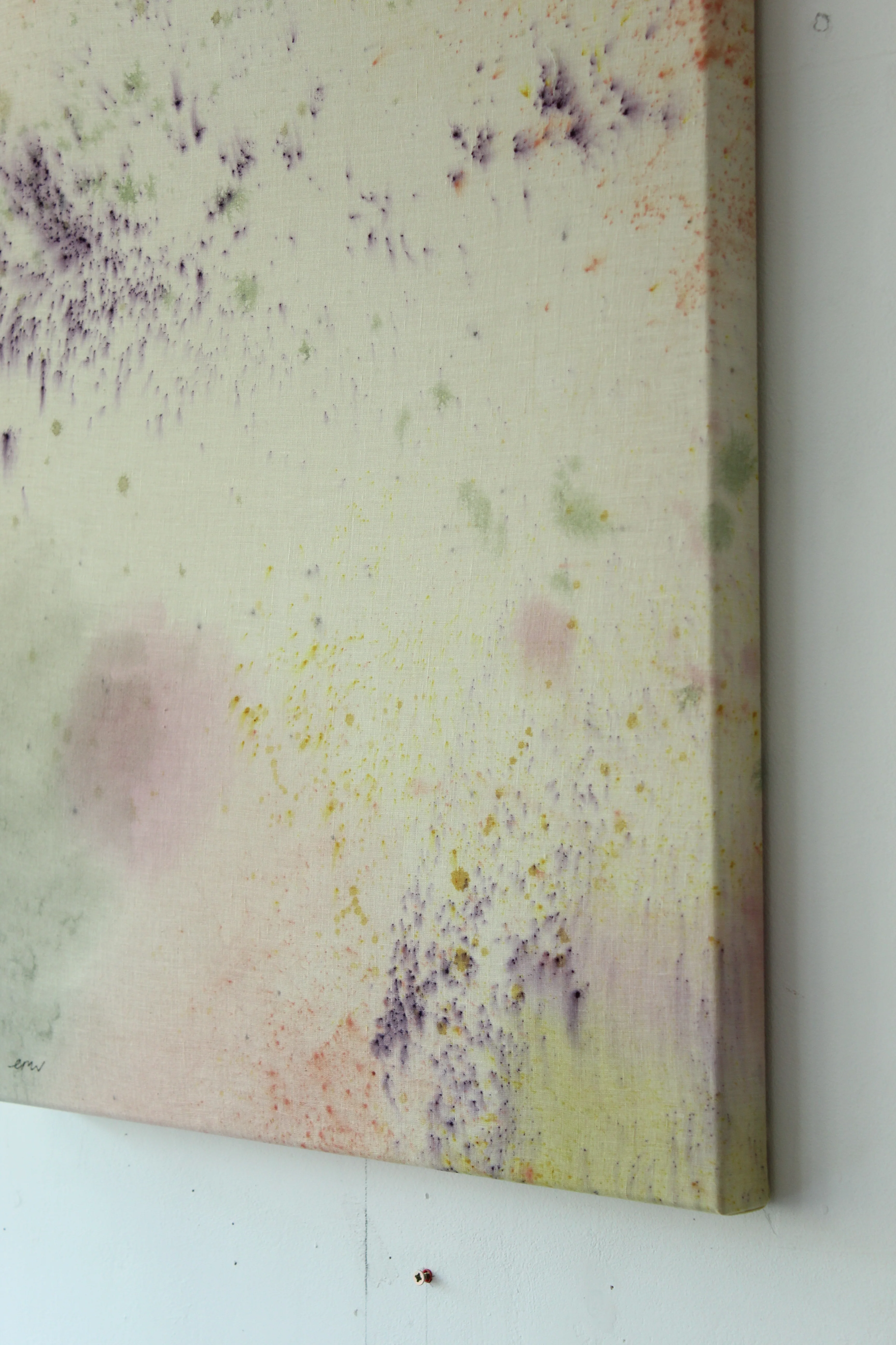 Ellen Williams / Soft Focus - Image 9