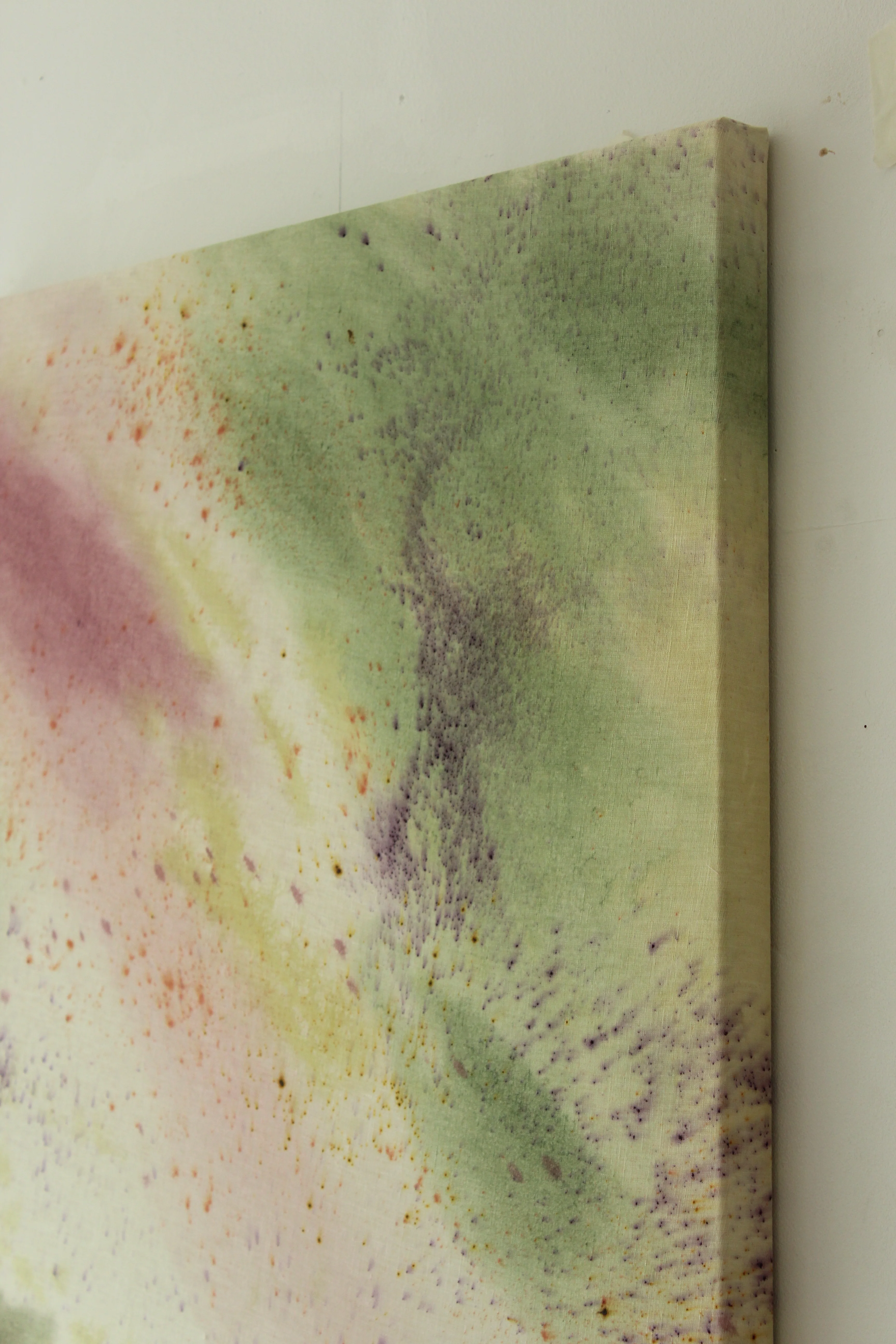 Ellen Williams / Under the Canopy - Image 7