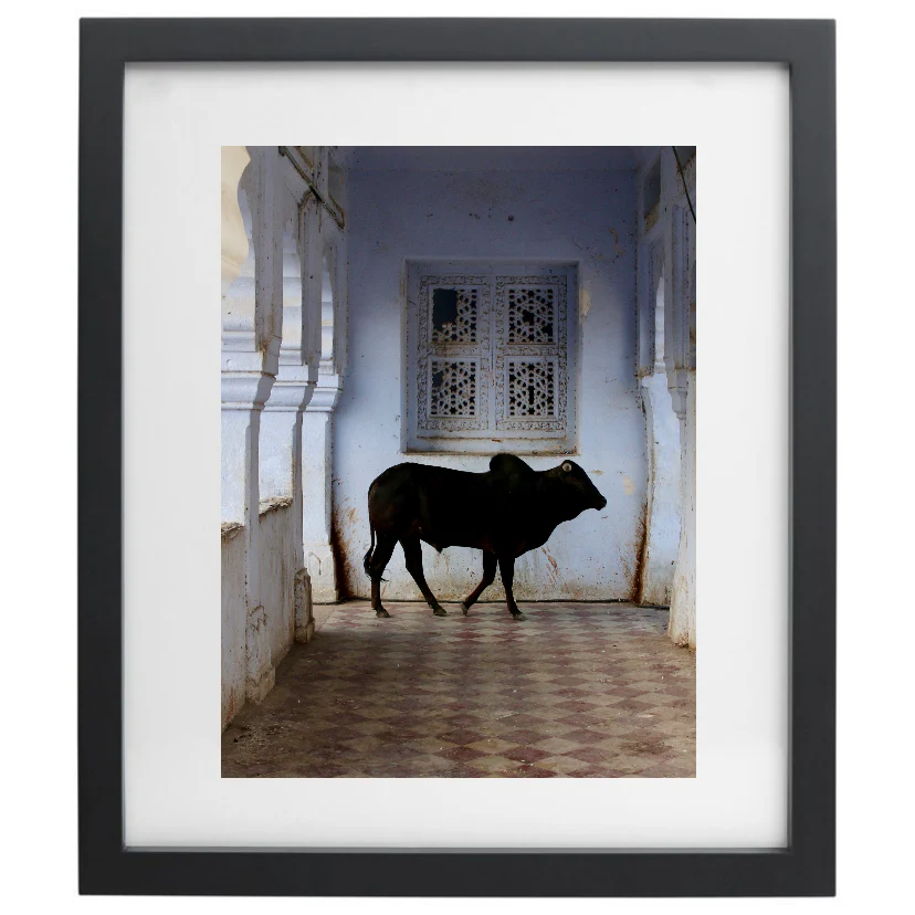 Maya Naidu / Pushkar - Image 4