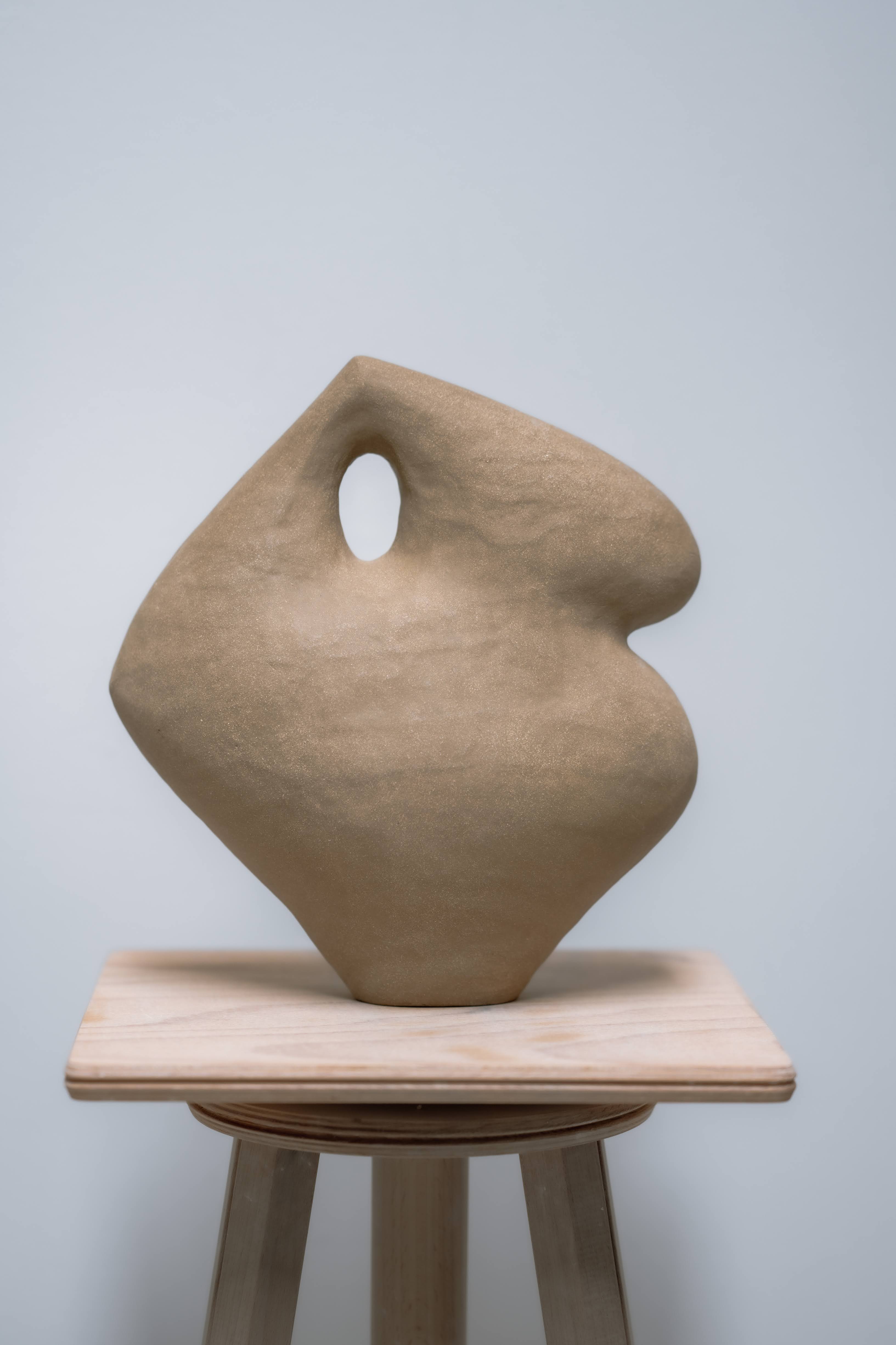 Olga Iacovlenco / Brown II - Image 9