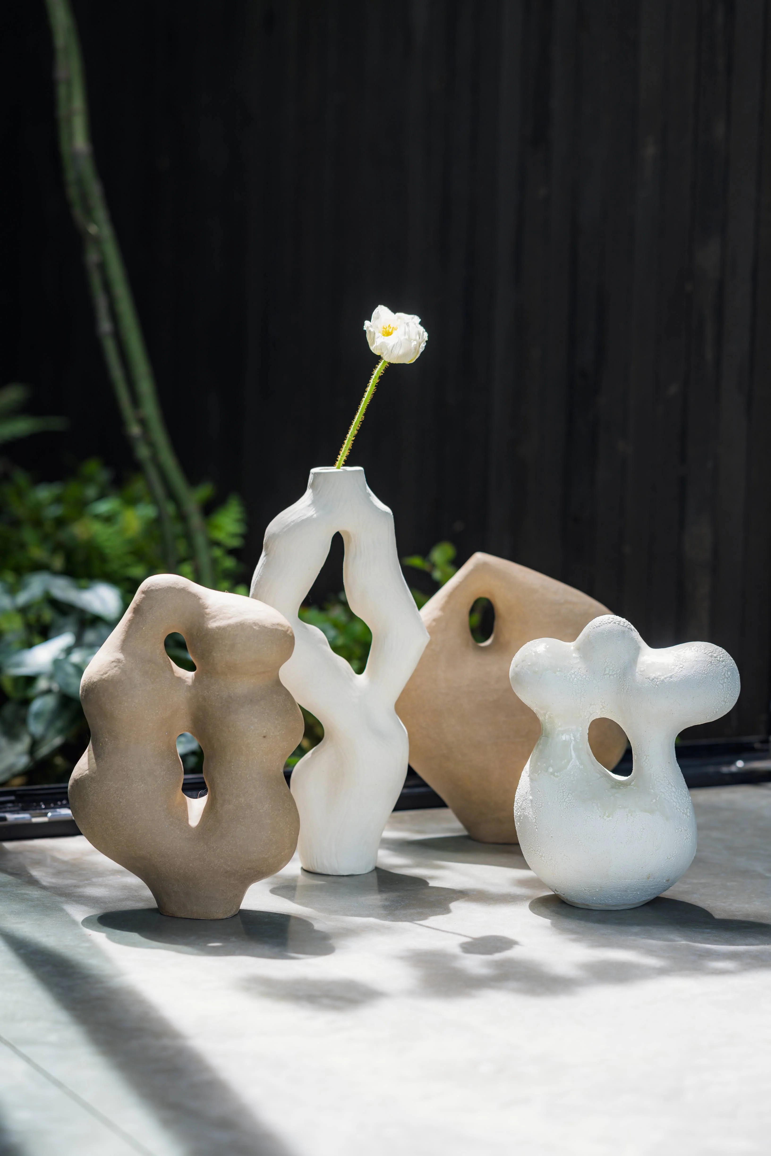 Olga Iacovlenco / Coral - Image 6