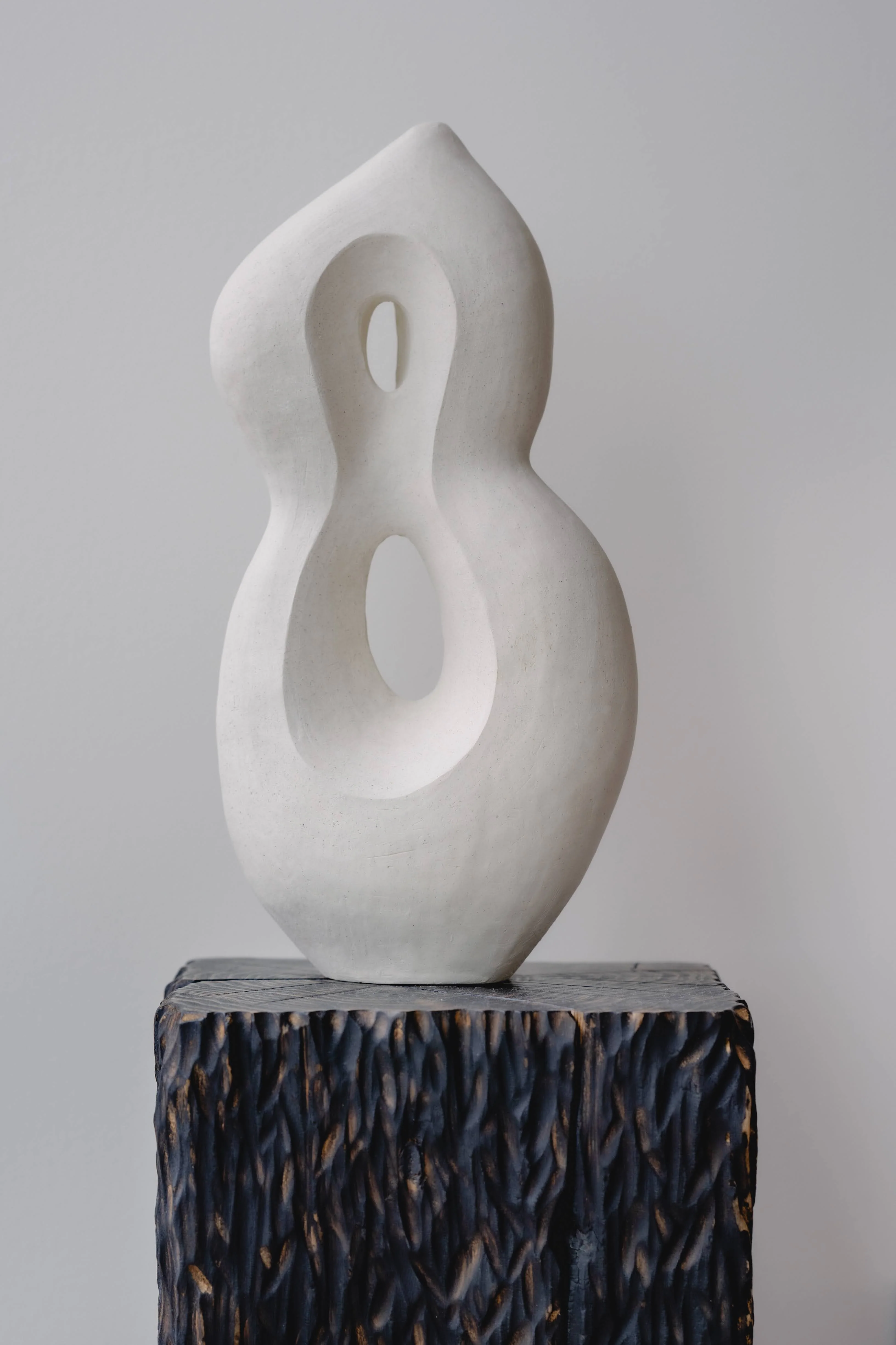 Olga Iacovlenco / Lien - Image 4