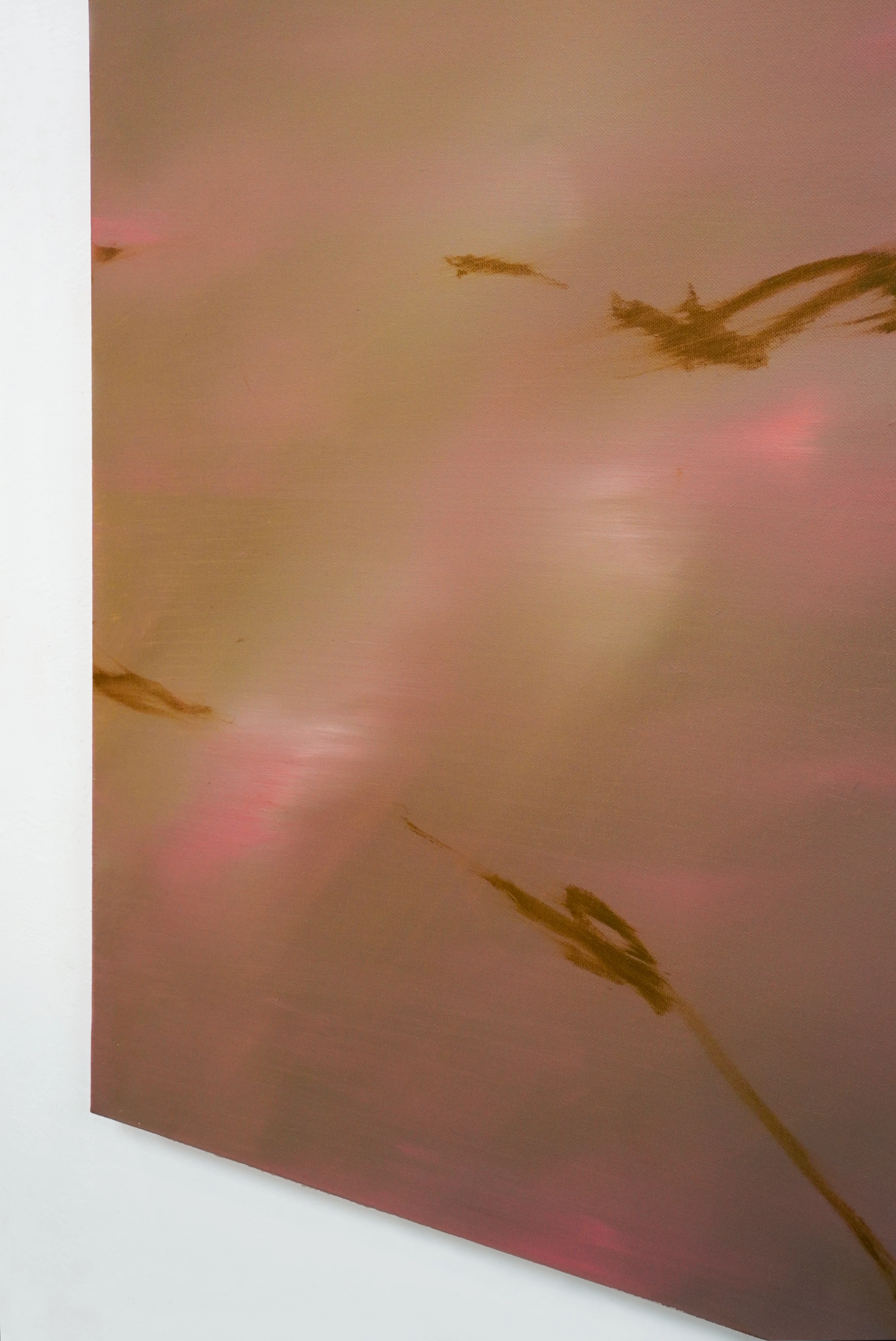 Paula Cabral Muchacho / No Plan Will Do - Image 5